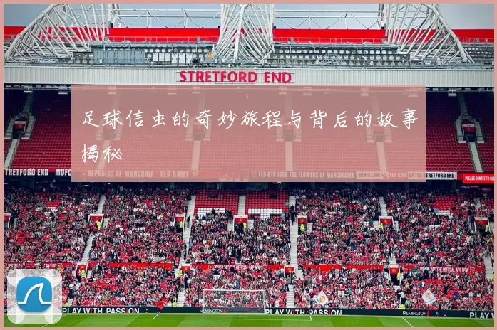 足球信虫的奇妙旅程与背后的故事揭秘