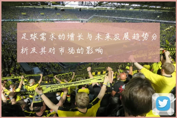足球需求的增长与未来发展趋势分析及其对市场的影响
