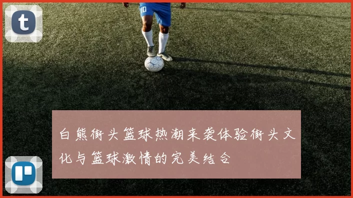 白熊街头篮球热潮来袭体验街头文化与篮球激情的完美结合