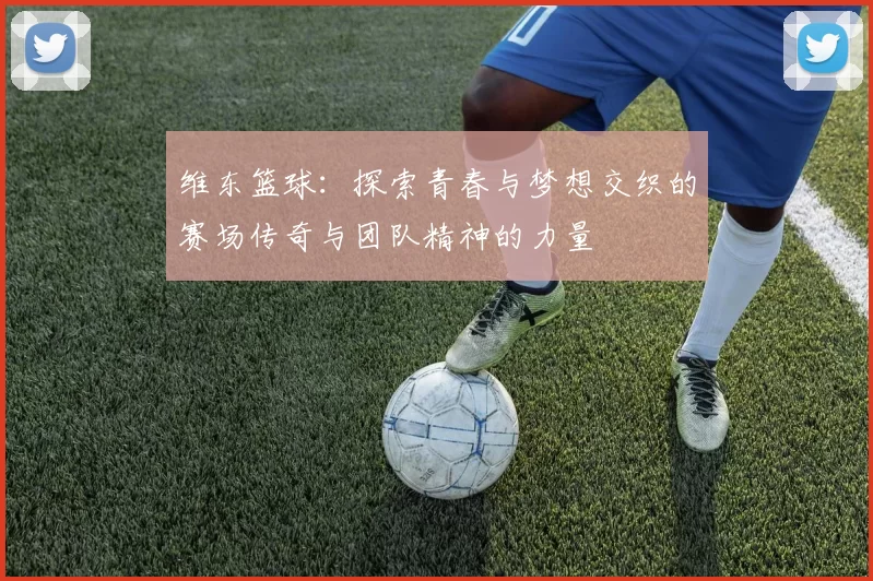 维东篮球：探索青春与梦想交织的赛场传奇与团队精神的力量