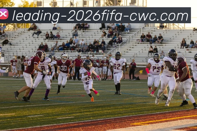 博彩平台平台生态图